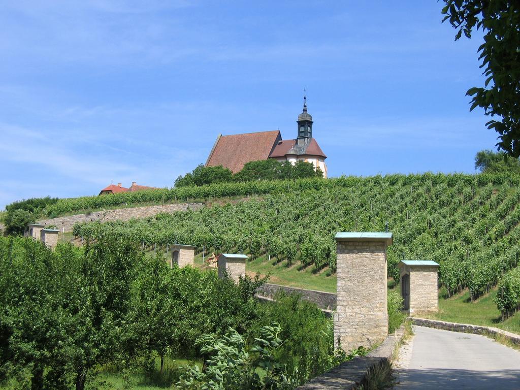 Hotel Schwarzes Ross Schwarzach am Main Luaran gambar