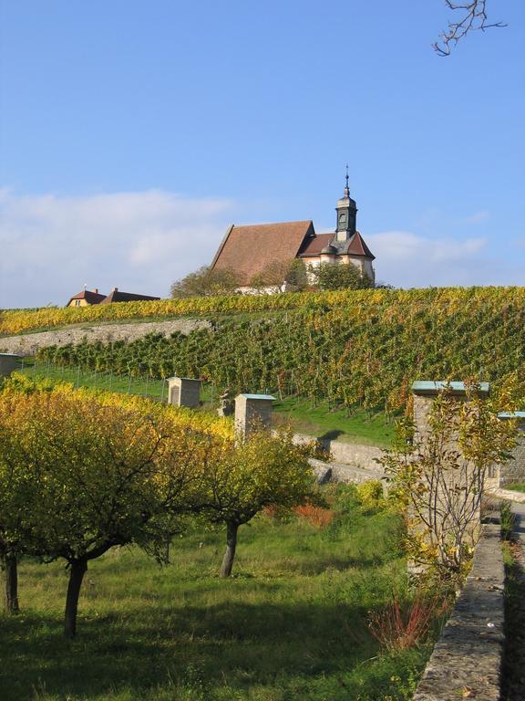 Hotel Schwarzes Ross Schwarzach am Main Luaran gambar