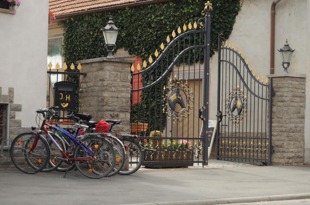Hotel Schwarzes Ross Schwarzach am Main Luaran gambar